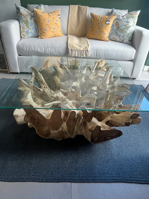 Root Teak Coffee Table