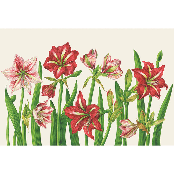 Amaryllis Blooms Placemat