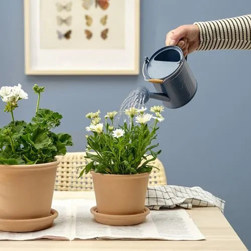 Dark Blue Watering Can