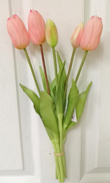 16" Tulip Bundle