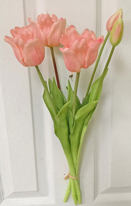Lily Tulip Bundle