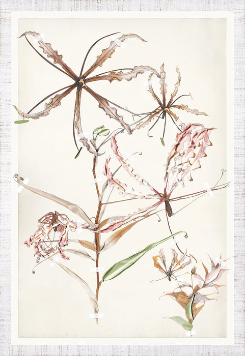 Ruche Flora