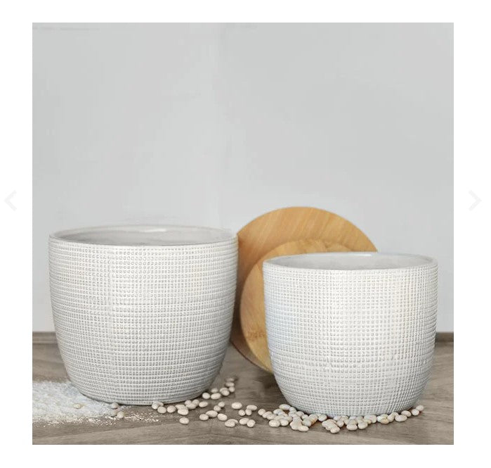 White Canister With Lid