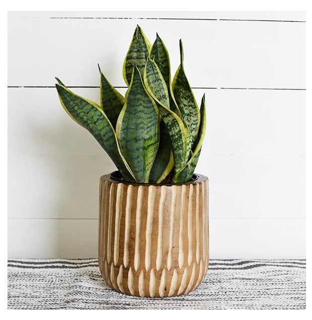 Carved Wood Planter