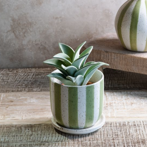 Matte Stripe Ceramic Planter