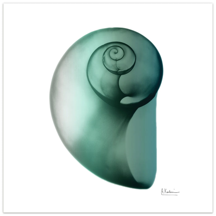 Shimmering Snail Art