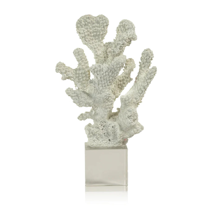 White Coral On Acrylic Base