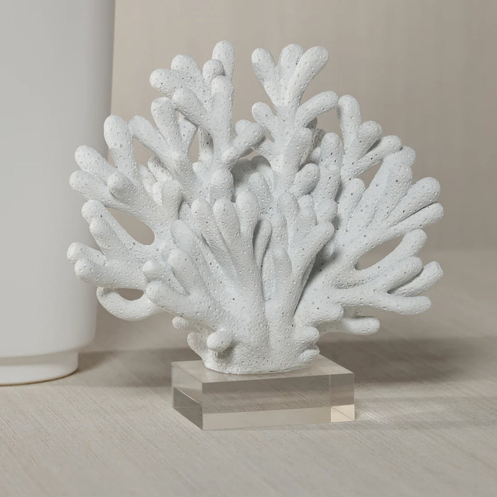 White Resin Coral On Acrylic Base