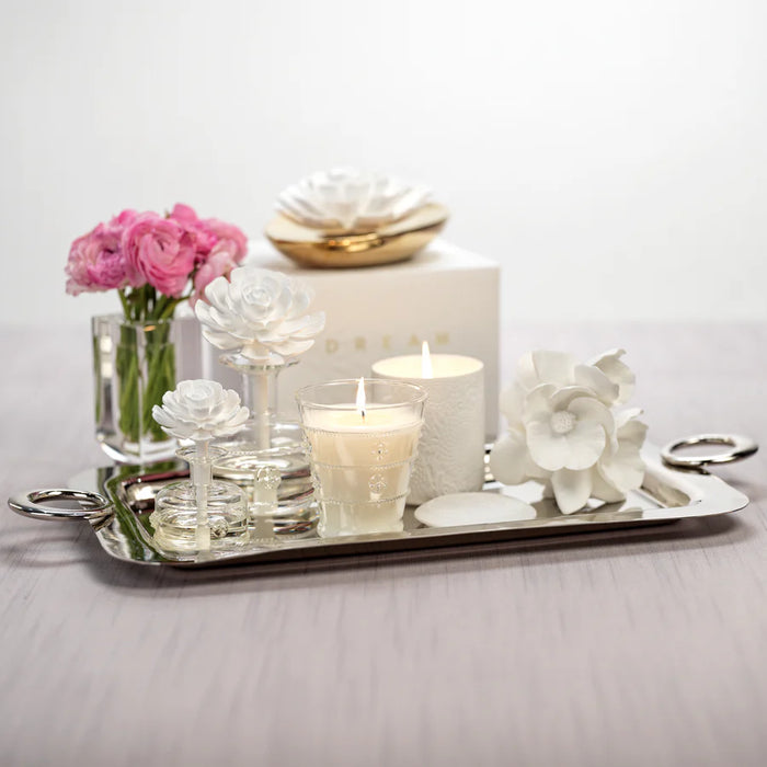Cameo Porelain Vase