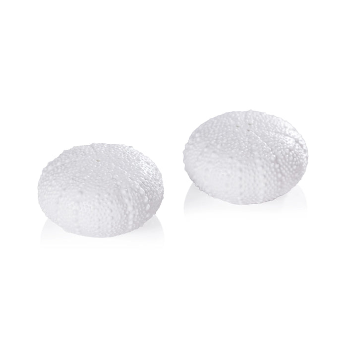Sea Urchin Salt and Pepper Set
