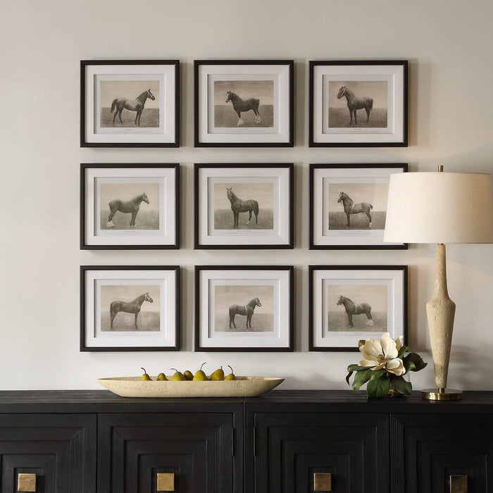Equine Dynasty Framed Prints Set of 9