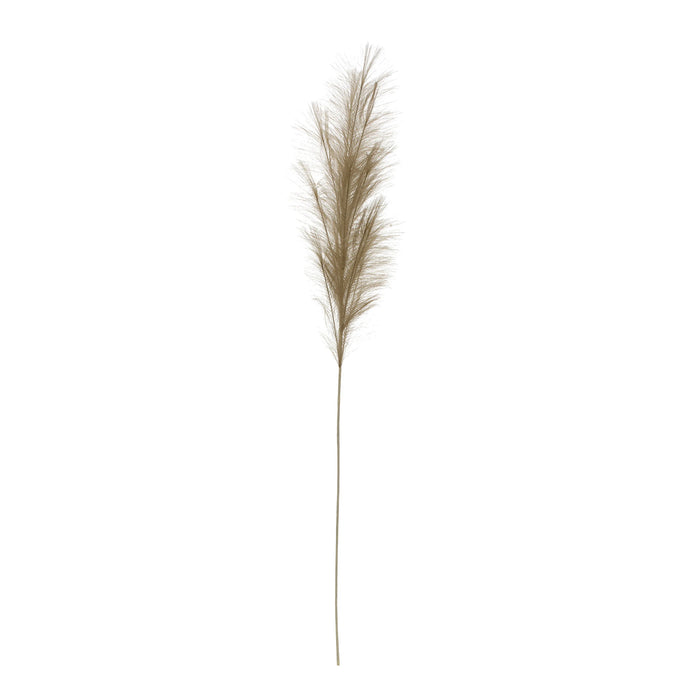 Pampas Grass Branch