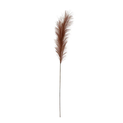 Pampas Grass Branch