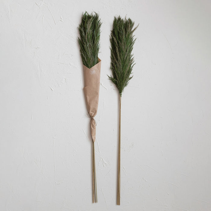 Dried Natural Velvet Grass Bunch