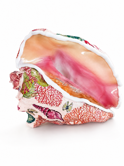 Coral Conch Shell