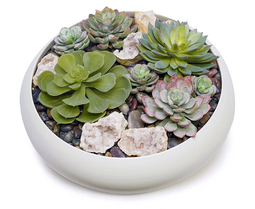 Succulents / Crystals In White Bowl