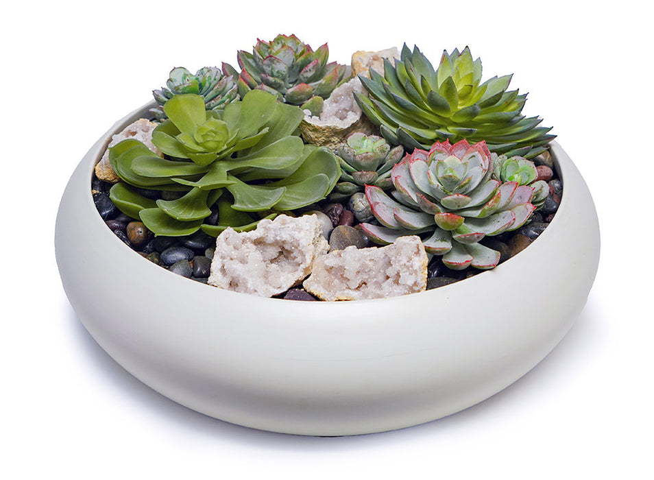Succulents / Crystals In White Bowl