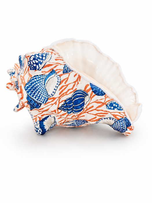 Blue Shell and Orange Reef Conch Shell