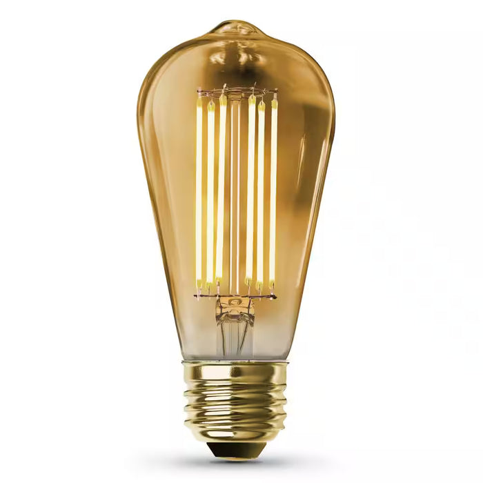 Large Edison Bulb