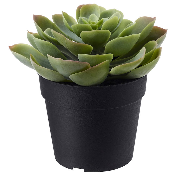 Artificial Succulent Plant - Small