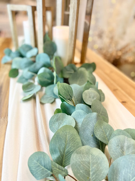 Eucalyptus Garland Leaves