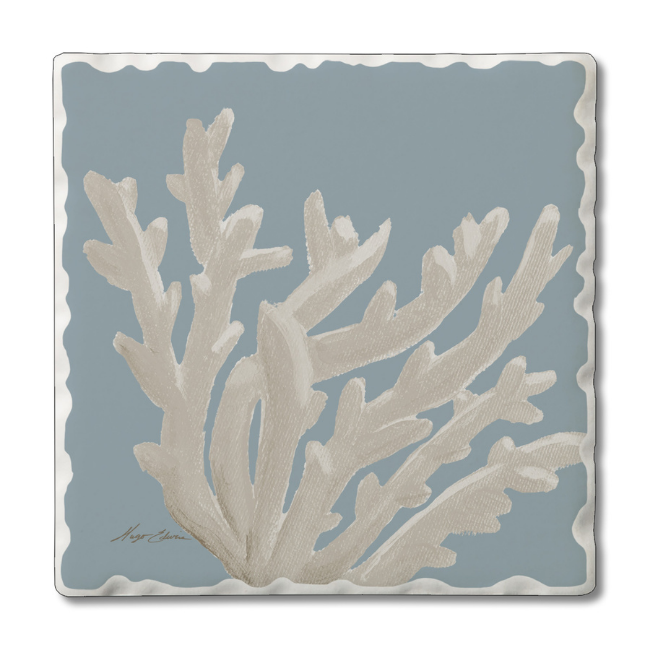 Coral Reefs Coaster Set Of 6