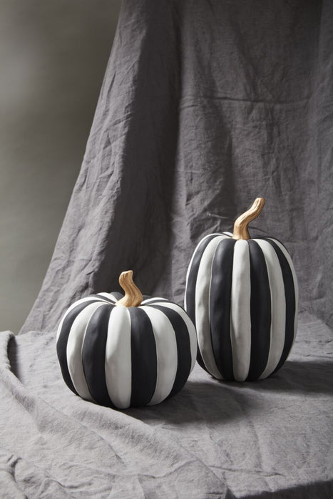 Otho Pumpkin - Short