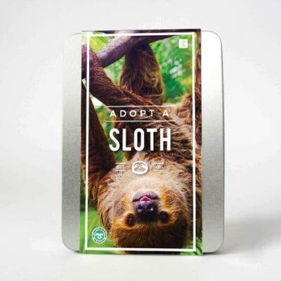 Adopt A Sloth Guide