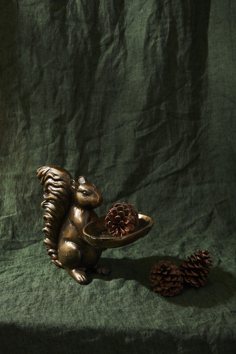 Bronze Squirrel