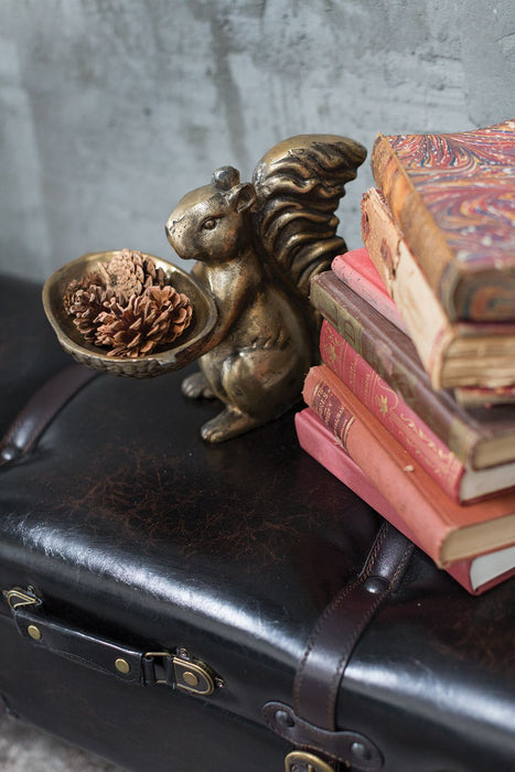Bronze Squirrel