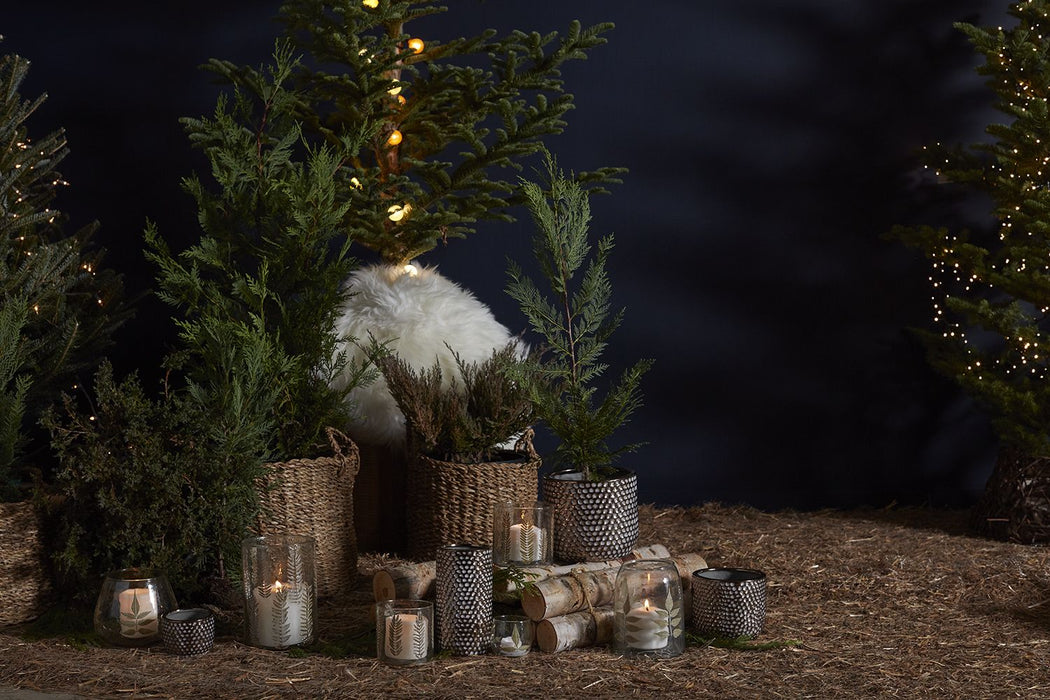 Yew Votive