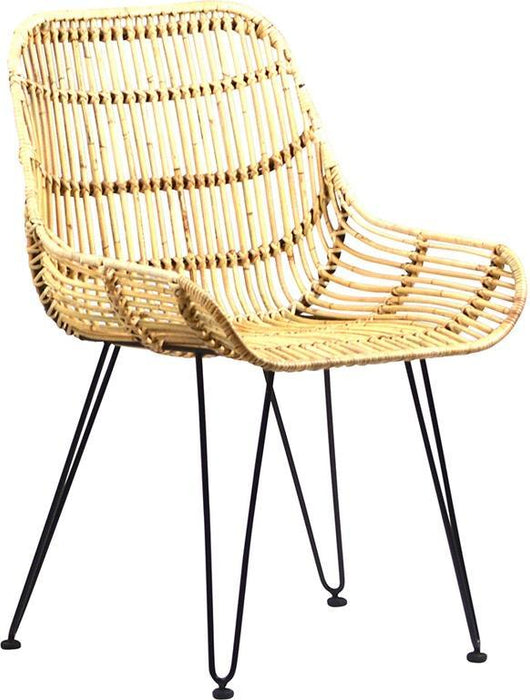 Roya Chair