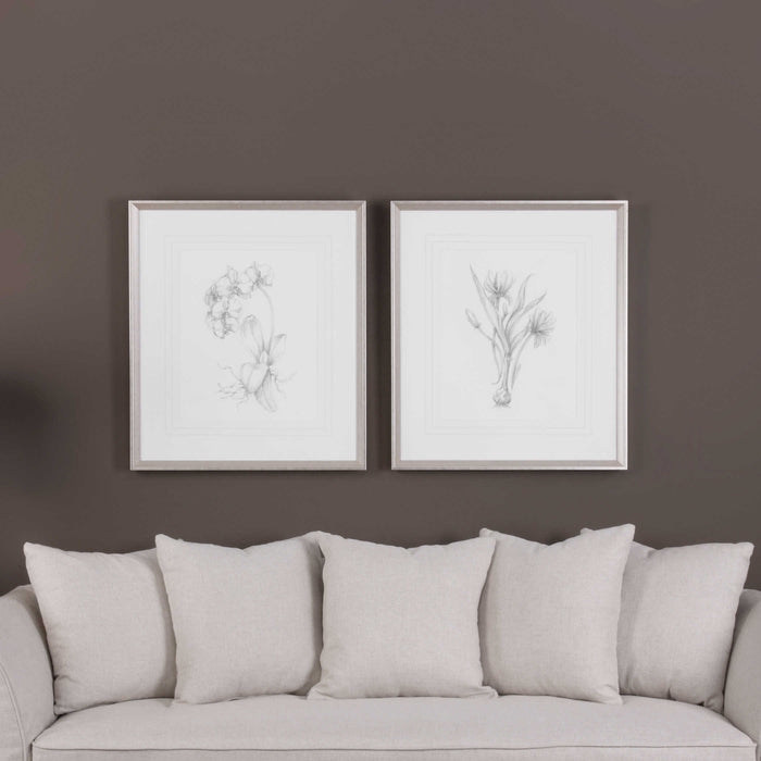 Botanical Sketches Framed Print