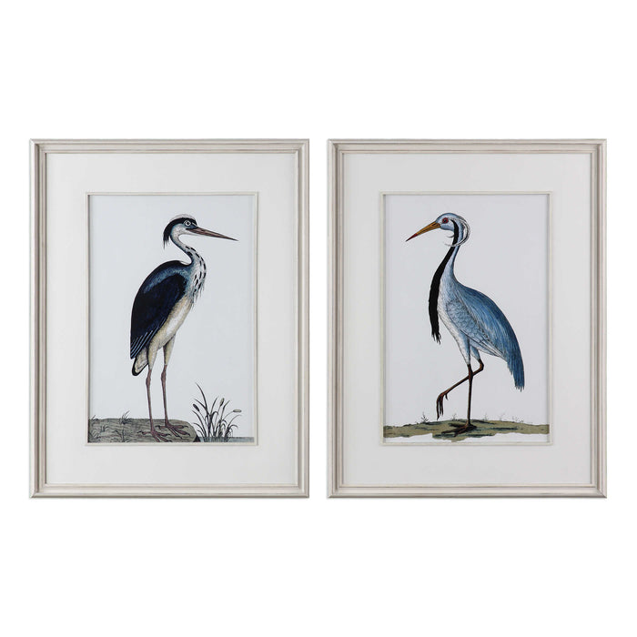 Shore Birds Framed Prints - Assorted