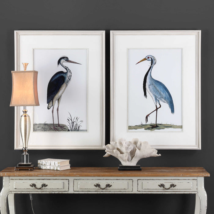 Shore Birds Framed Prints - Assorted