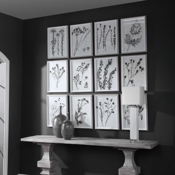 Contemporary Botanicals Framed Print