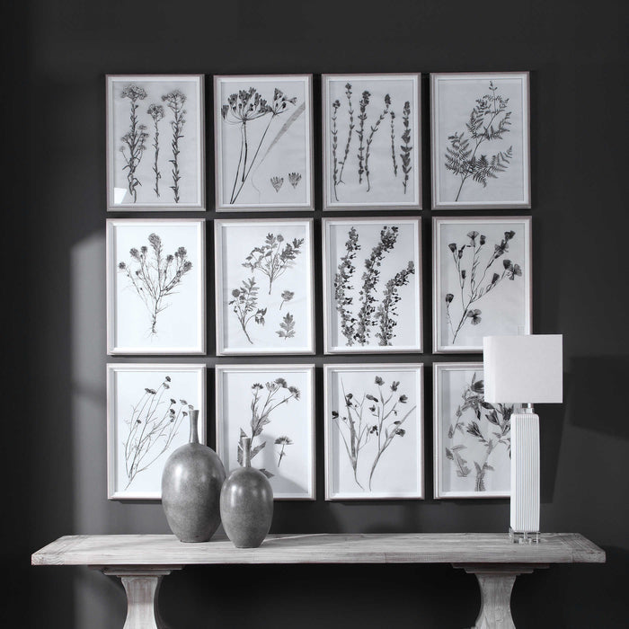 Contemporary Botanicals Framed Print