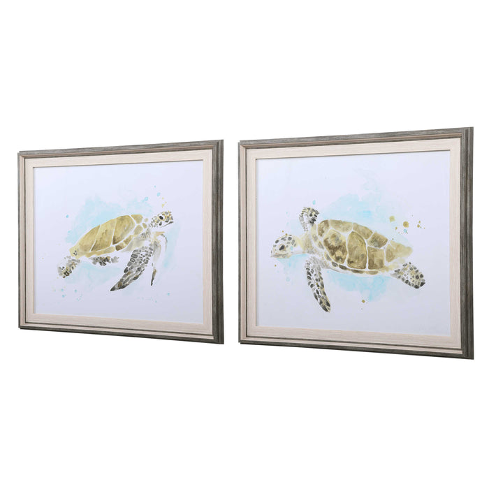 Sea Turtle Study Framed Prints