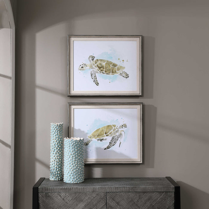 Sea Turtle Study Framed Prints