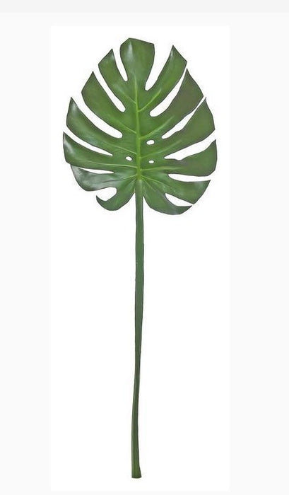 Split Leaf