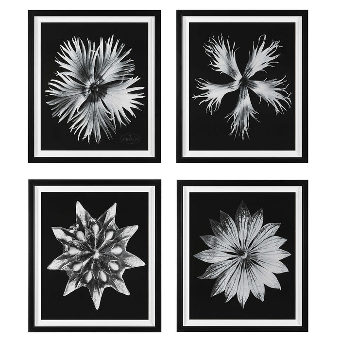 Contemporary Floret Framed Print