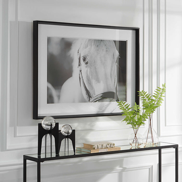 Eyes On The Prize Framed Print