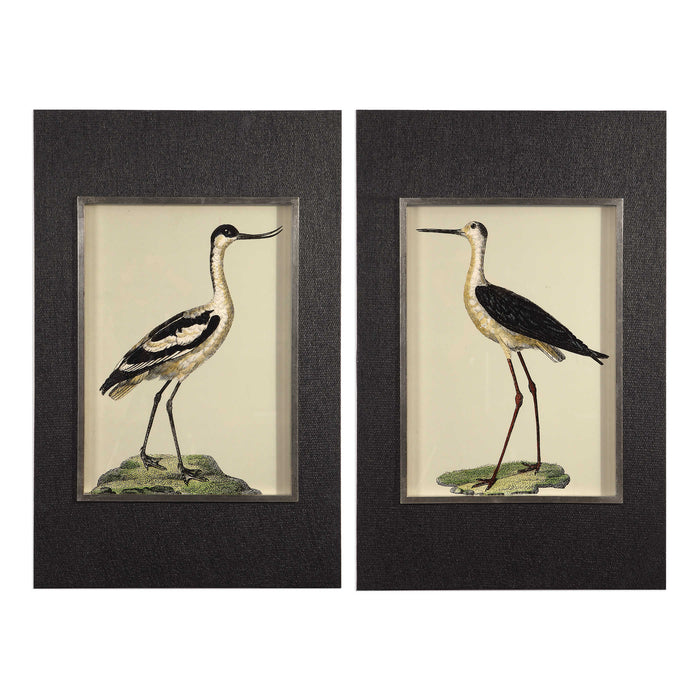 Birds On The Shore Framed Print