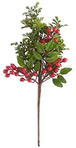 Mixed Boxwood & Red Berry Stem