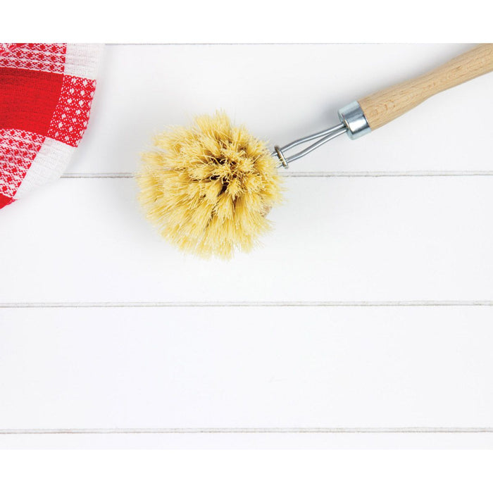Beyond Gourmet Dish Washing Vegetable Scrub Brush