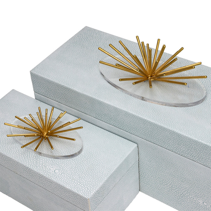 Urchin Box