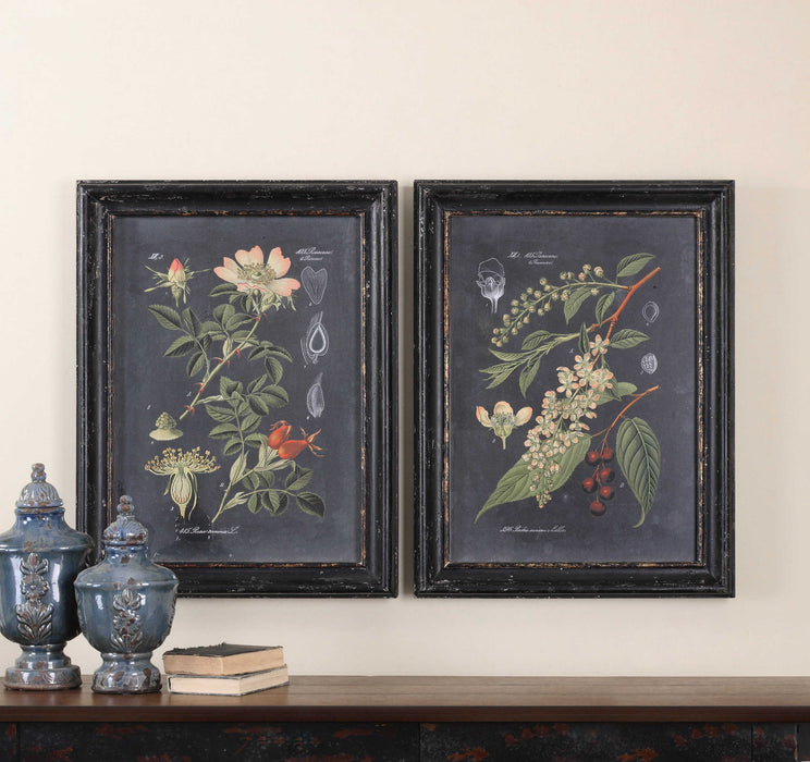 Midnight Botanicals Framed Print