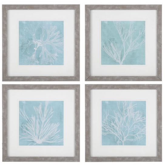 Assorted Seaweed On Aqua Frame