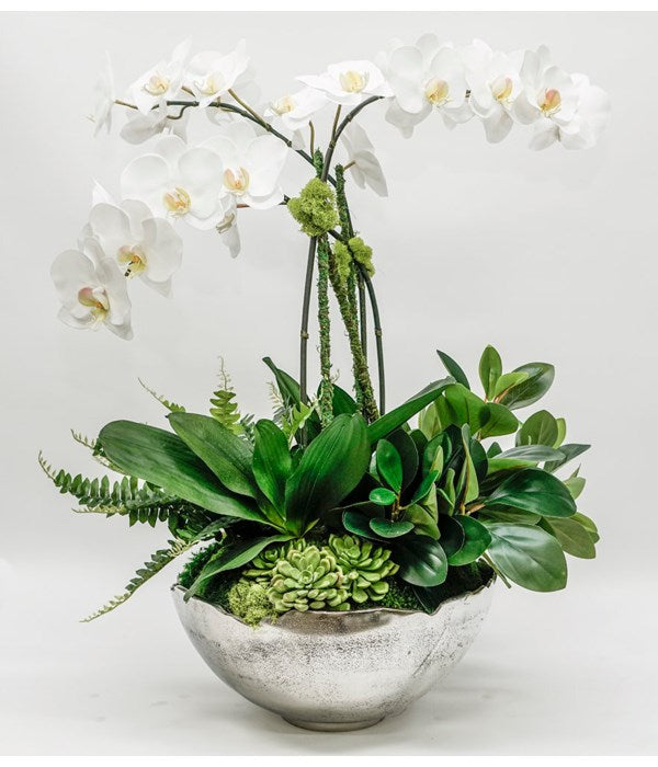 3 Orchids / Fern / Foliage in Bowl - Large Silver
