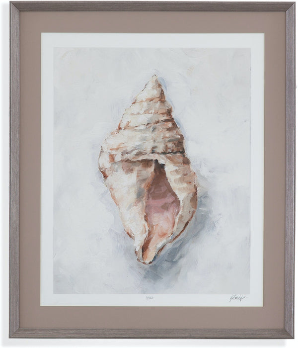 White Shell Study